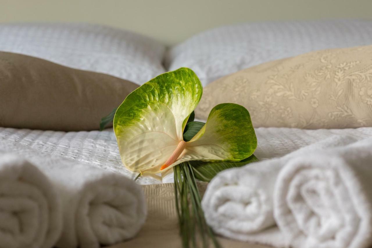 Apartments & Rooms Aleksandra Μπλεντ Εξωτερικό φωτογραφία